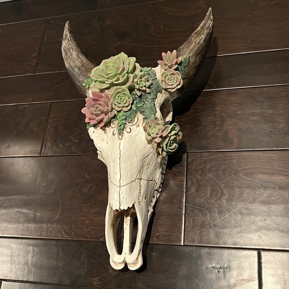 Resin skull and succulents 18” EUC - Picture 3 of 9